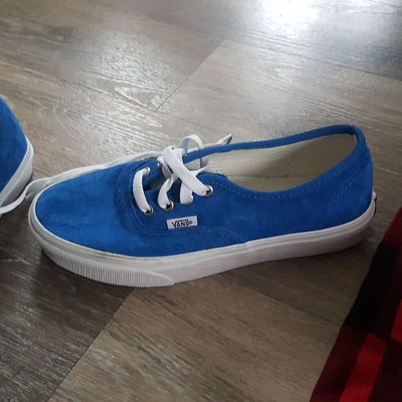 Blue Van's - Picture 5 of 8